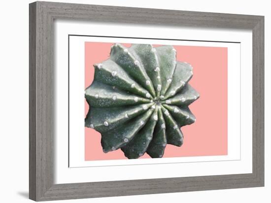 Cactus Bulb-Sheldon Lewis-Framed Art Print