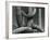 Cactus, c. 1970-Brett Weston-Framed Premium Photographic Print