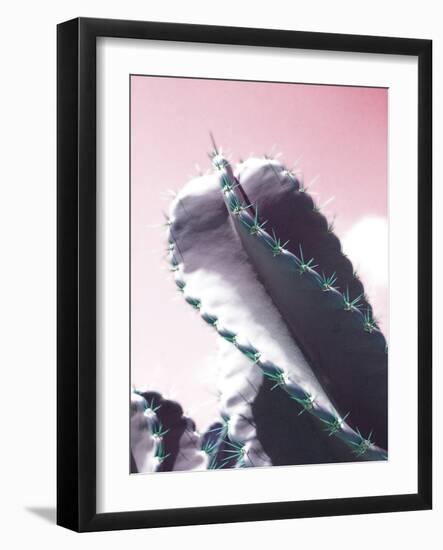 Cactus Captiva-Malcolm Sanders-Framed Giclee Print