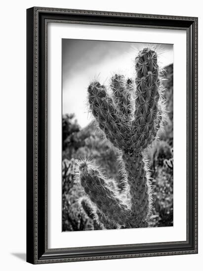 Cactus Close-up-Janice Sullivan-Framed Giclee Print