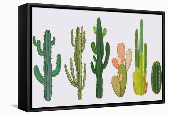 Cactus Collection in Vector Illustration-Roberto Chicano-Framed Stretched Canvas