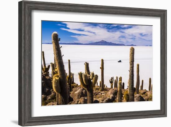 Cactus Covered Fish Island (Isla Incahuasi) (Inka Wasi), Uyuni, Bolivia-Matthew Williams-Ellis-Framed Photographic Print