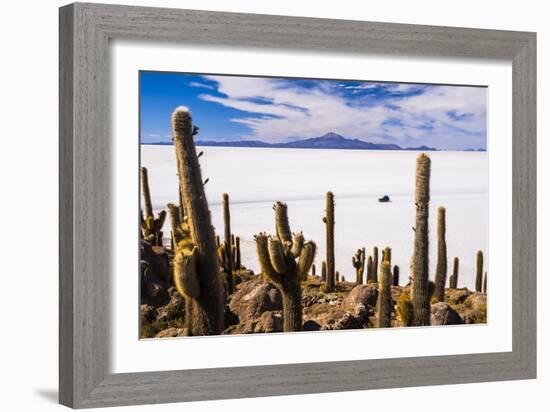 Cactus Covered Fish Island (Isla Incahuasi) (Inka Wasi), Uyuni, Bolivia-Matthew Williams-Ellis-Framed Photographic Print