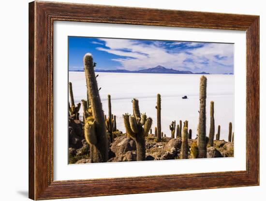 Cactus Covered Fish Island (Isla Incahuasi) (Inka Wasi), Uyuni, Bolivia-Matthew Williams-Ellis-Framed Photographic Print