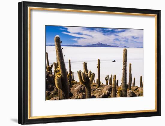 Cactus Covered Fish Island (Isla Incahuasi) (Inka Wasi), Uyuni, Bolivia-Matthew Williams-Ellis-Framed Photographic Print