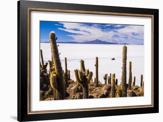 Cactus Covered Fish Island (Isla Incahuasi) (Inka Wasi), Uyuni, Bolivia-Matthew Williams-Ellis-Framed Photographic Print