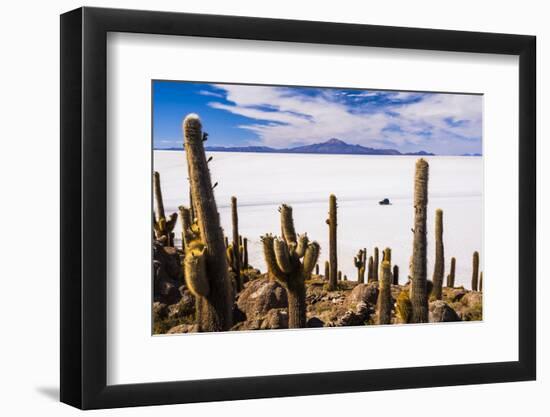 Cactus Covered Fish Island (Isla Incahuasi) (Inka Wasi), Uyuni, Bolivia-Matthew Williams-Ellis-Framed Photographic Print
