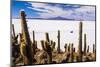 Cactus Covered Fish Island (Isla Incahuasi) (Inka Wasi), Uyuni, Bolivia-Matthew Williams-Ellis-Mounted Photographic Print