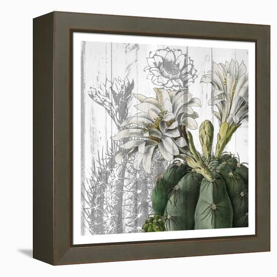 Cactus Cowboy 3-Kimberly Allen-Framed Stretched Canvas