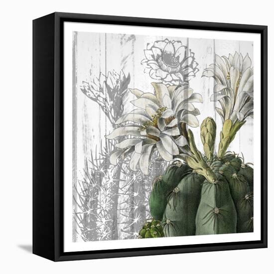 Cactus Cowboy 3-Kimberly Allen-Framed Stretched Canvas