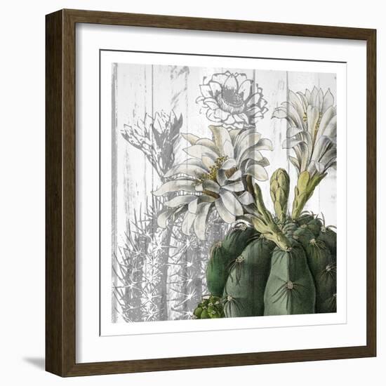 Cactus Cowboy 3-Kimberly Allen-Framed Premium Giclee Print