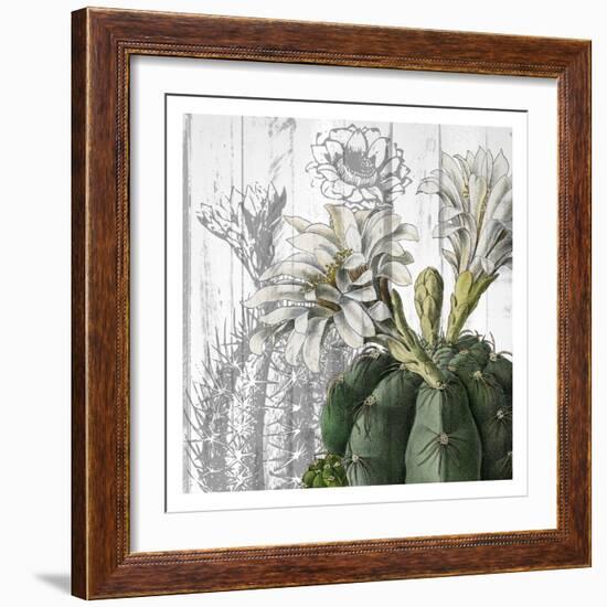 Cactus Cowboy 3-Kimberly Allen-Framed Premium Giclee Print