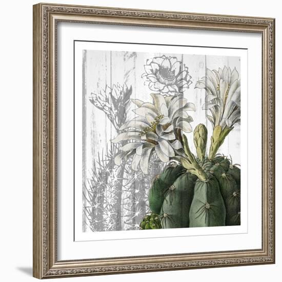 Cactus Cowboy 3-Kimberly Allen-Framed Art Print