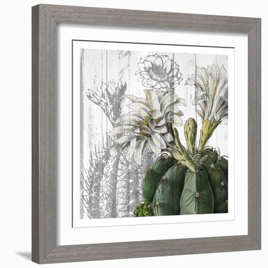 Cactus Cowboy 3-Kimberly Allen-Framed Art Print