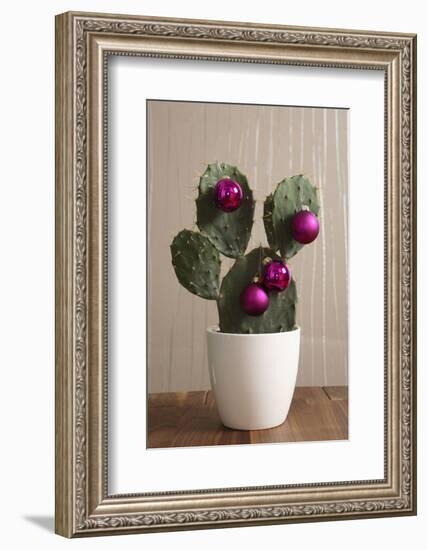 Cactus, Decorates, Christmas Tree Balls-Nikky-Framed Photographic Print