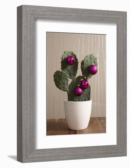 Cactus, Decorates, Christmas Tree Balls-Nikky-Framed Photographic Print