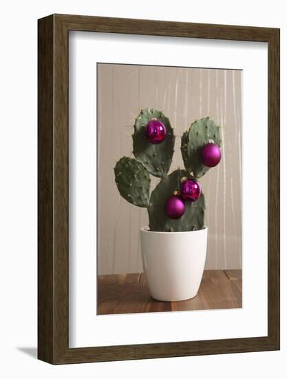 Cactus, Decorates, Christmas Tree Balls-Nikky-Framed Photographic Print