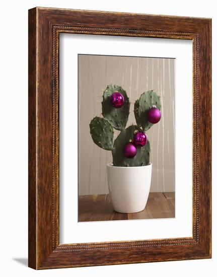 Cactus, Decorates, Christmas Tree Balls-Nikky-Framed Photographic Print