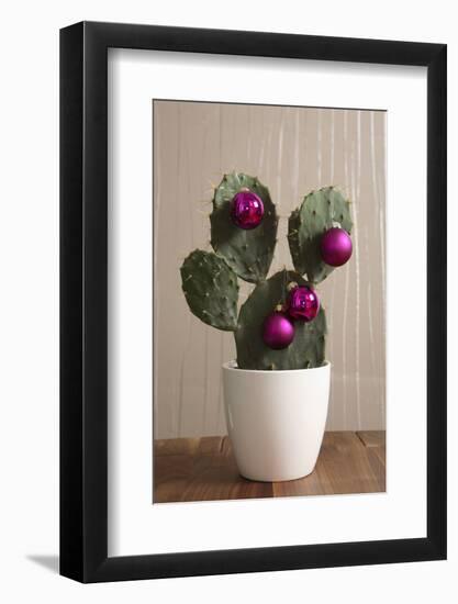 Cactus, Decorates, Christmas Tree Balls-Nikky-Framed Photographic Print