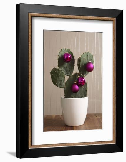 Cactus, Decorates, Christmas Tree Balls-Nikky-Framed Photographic Print