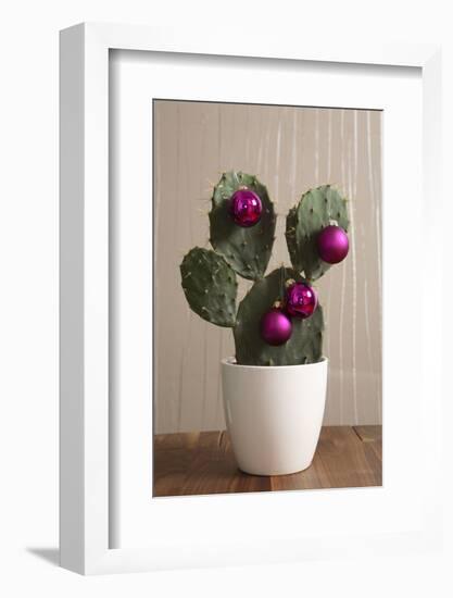 Cactus, Decorates, Christmas Tree Balls-Nikky-Framed Photographic Print