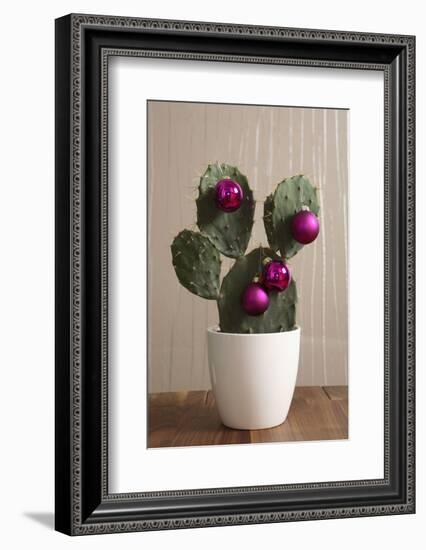 Cactus, Decorates, Christmas Tree Balls-Nikky-Framed Photographic Print