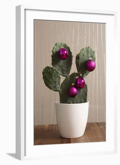 Cactus, Decorates, Christmas Tree Balls-Nikky-Framed Photographic Print