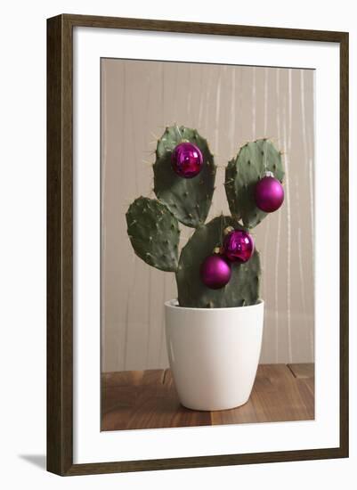 Cactus, Decorates, Christmas Tree Balls-Nikky-Framed Photographic Print