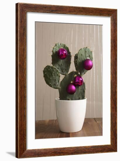 Cactus, Decorates, Christmas Tree Balls-Nikky-Framed Photographic Print