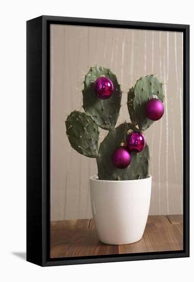 Cactus, Decorates, Christmas Tree Balls-Nikky-Framed Premier Image Canvas