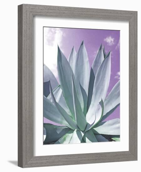 Cactus Delray-Malcolm Sanders-Framed Giclee Print