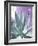 Cactus Delray-Malcolm Sanders-Framed Giclee Print