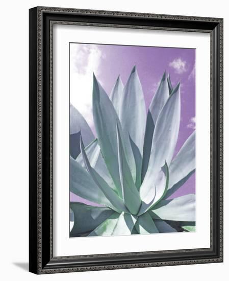 Cactus Delray-Malcolm Sanders-Framed Giclee Print