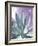 Cactus Delray-Malcolm Sanders-Framed Giclee Print