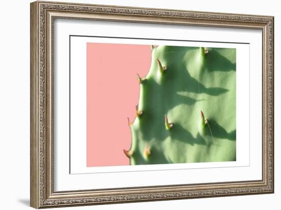 Cactus Flat-Sheldon Lewis-Framed Art Print