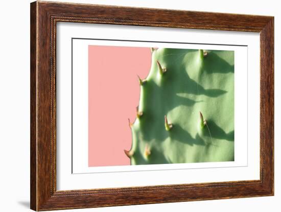 Cactus Flat-Sheldon Lewis-Framed Art Print