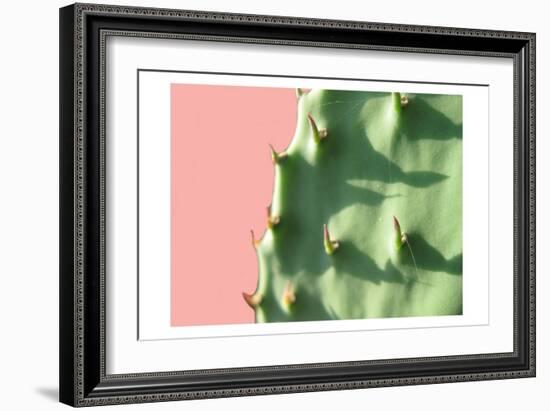 Cactus Flat-Sheldon Lewis-Framed Art Print