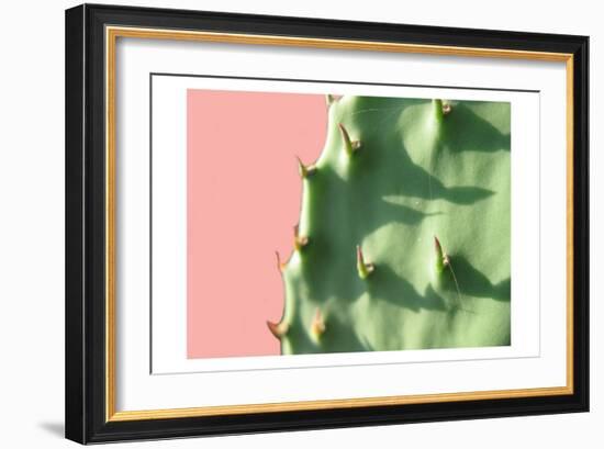 Cactus Flat-Sheldon Lewis-Framed Art Print