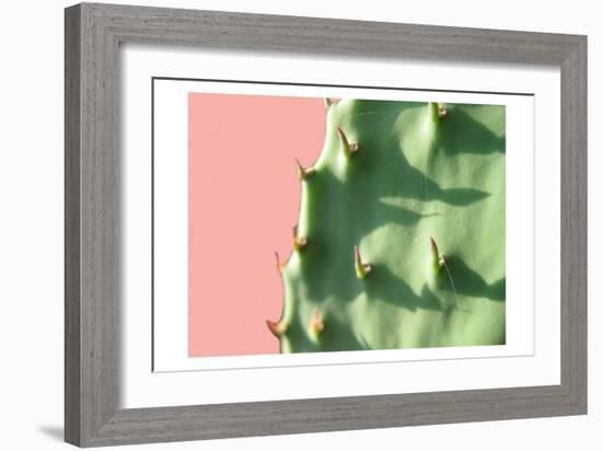 Cactus Flat-Sheldon Lewis-Framed Premium Giclee Print