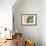 Cactus Flat-Sheldon Lewis-Framed Premium Giclee Print displayed on a wall