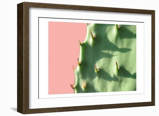 Cactus Flat-Sheldon Lewis-Framed Premium Giclee Print