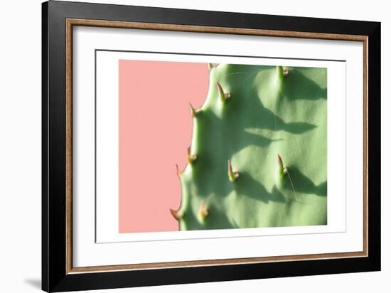 Cactus Flat-Sheldon Lewis-Framed Premium Giclee Print