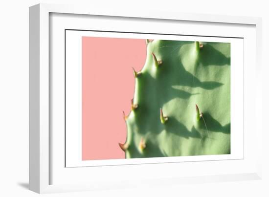 Cactus Flat-Sheldon Lewis-Framed Premium Giclee Print