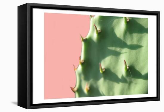 Cactus Flat-Sheldon Lewis-Framed Stretched Canvas