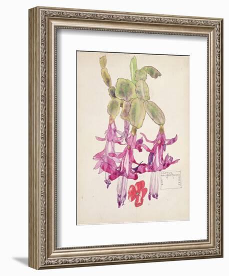 Cactus Flower-Charles Rennie Mackintosh-Framed Giclee Print