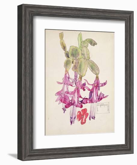 Cactus Flower-Charles Rennie Mackintosh-Framed Giclee Print