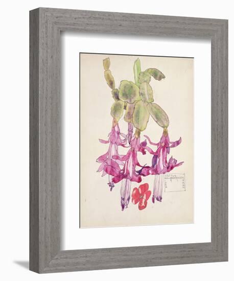 Cactus Flower-Charles Rennie Mackintosh-Framed Giclee Print