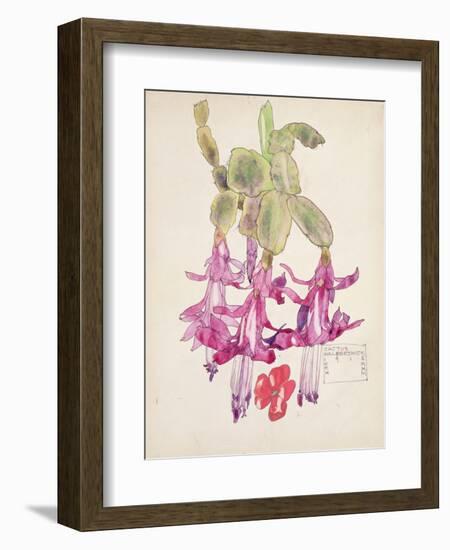 Cactus Flower-Charles Rennie Mackintosh-Framed Giclee Print