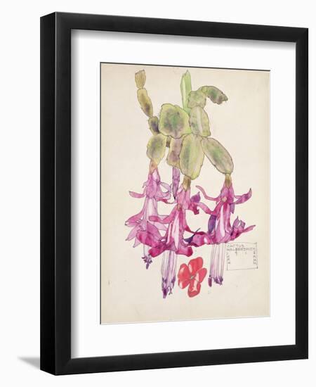 Cactus Flower-Charles Rennie Mackintosh-Framed Giclee Print