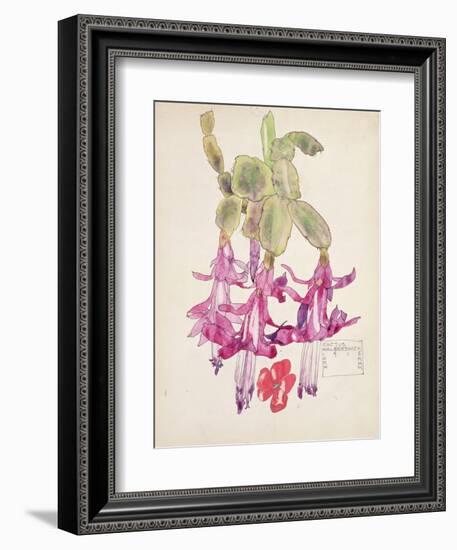 Cactus Flower-Charles Rennie Mackintosh-Framed Giclee Print